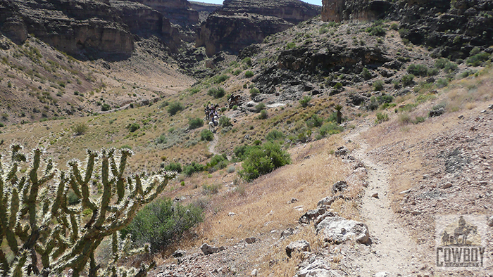 Picture of the beginning of the Canyon Rime Ride while Horseback Riding in Las Vegas at Cowboy Trail Rides in Red Rock Canyon